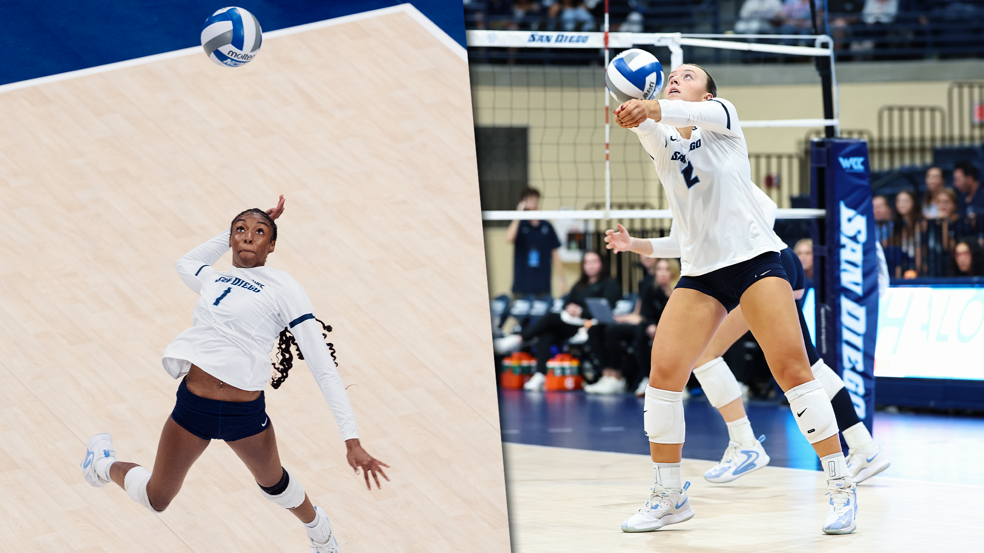 nemo beach and kylie munday - 2025