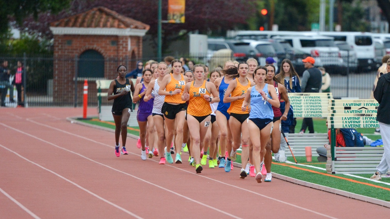 Rebecca Bronstein 10K