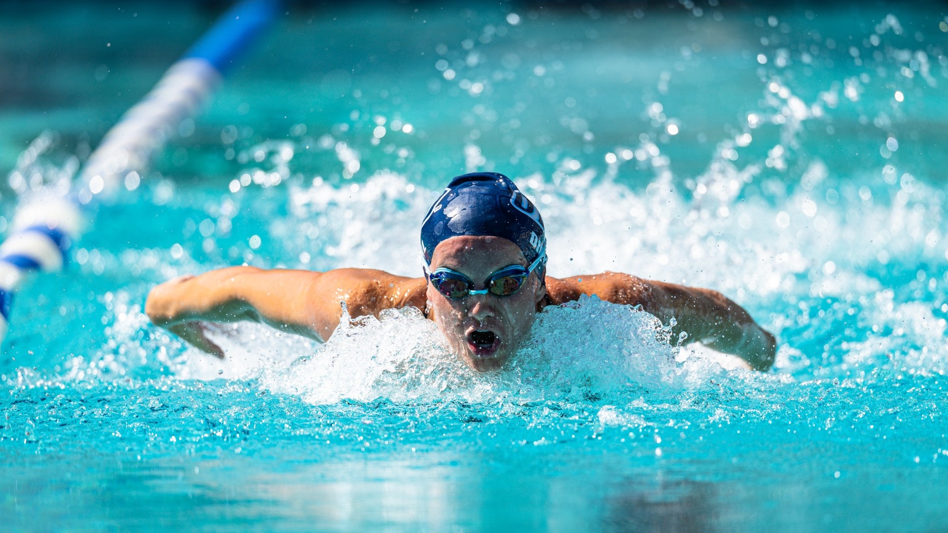 Alison Diehl swim