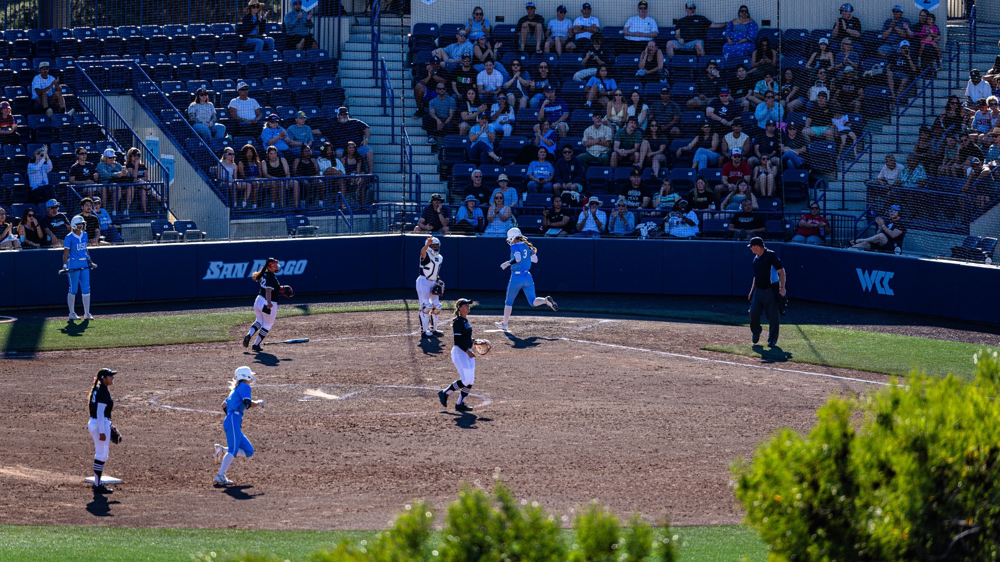 USD Softball vs. CSUN