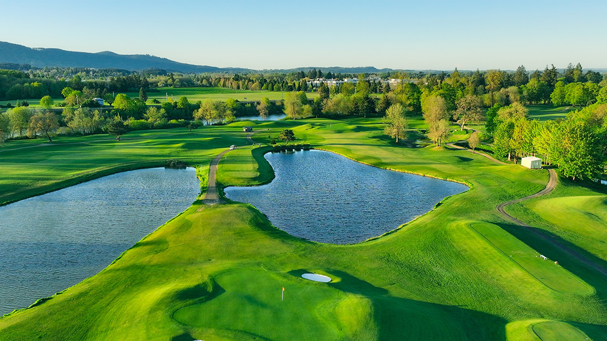 trysting tree golf club
