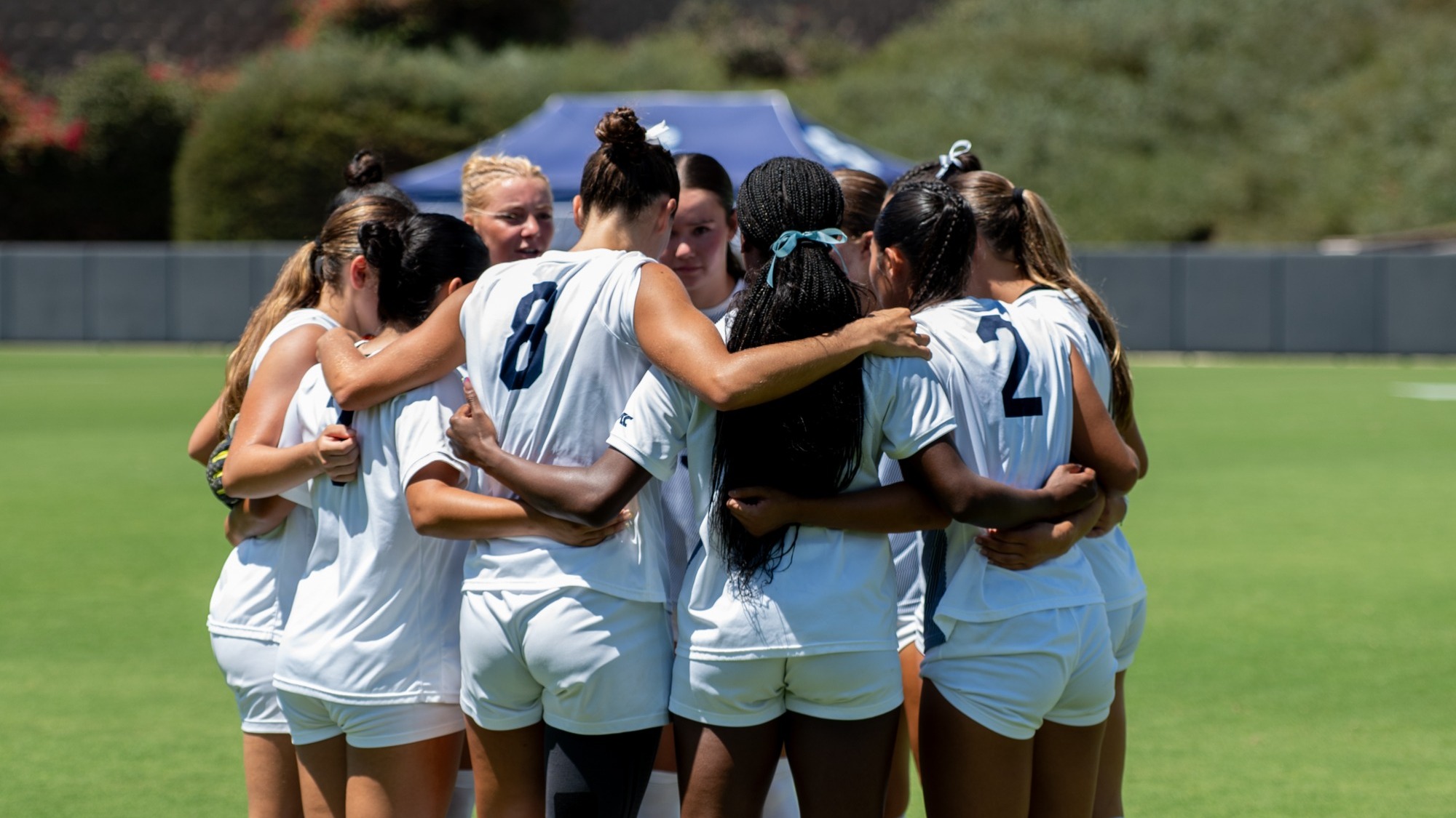 Team Huddle