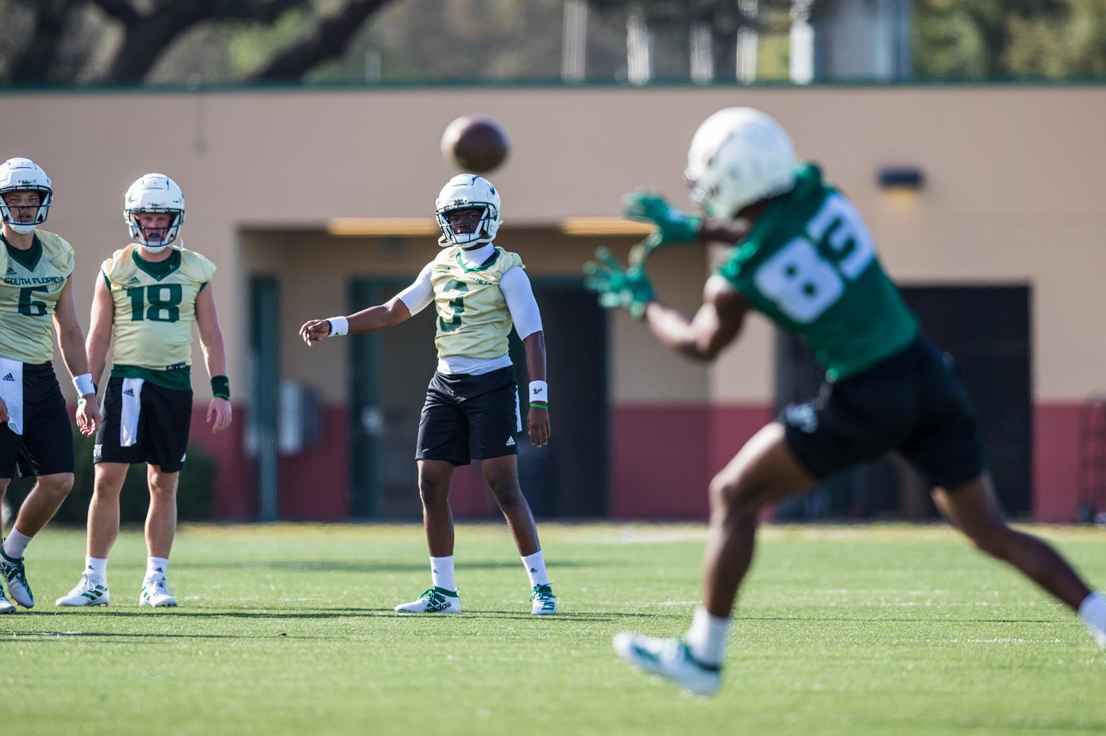 Jordan McCloud Football USF Athletics