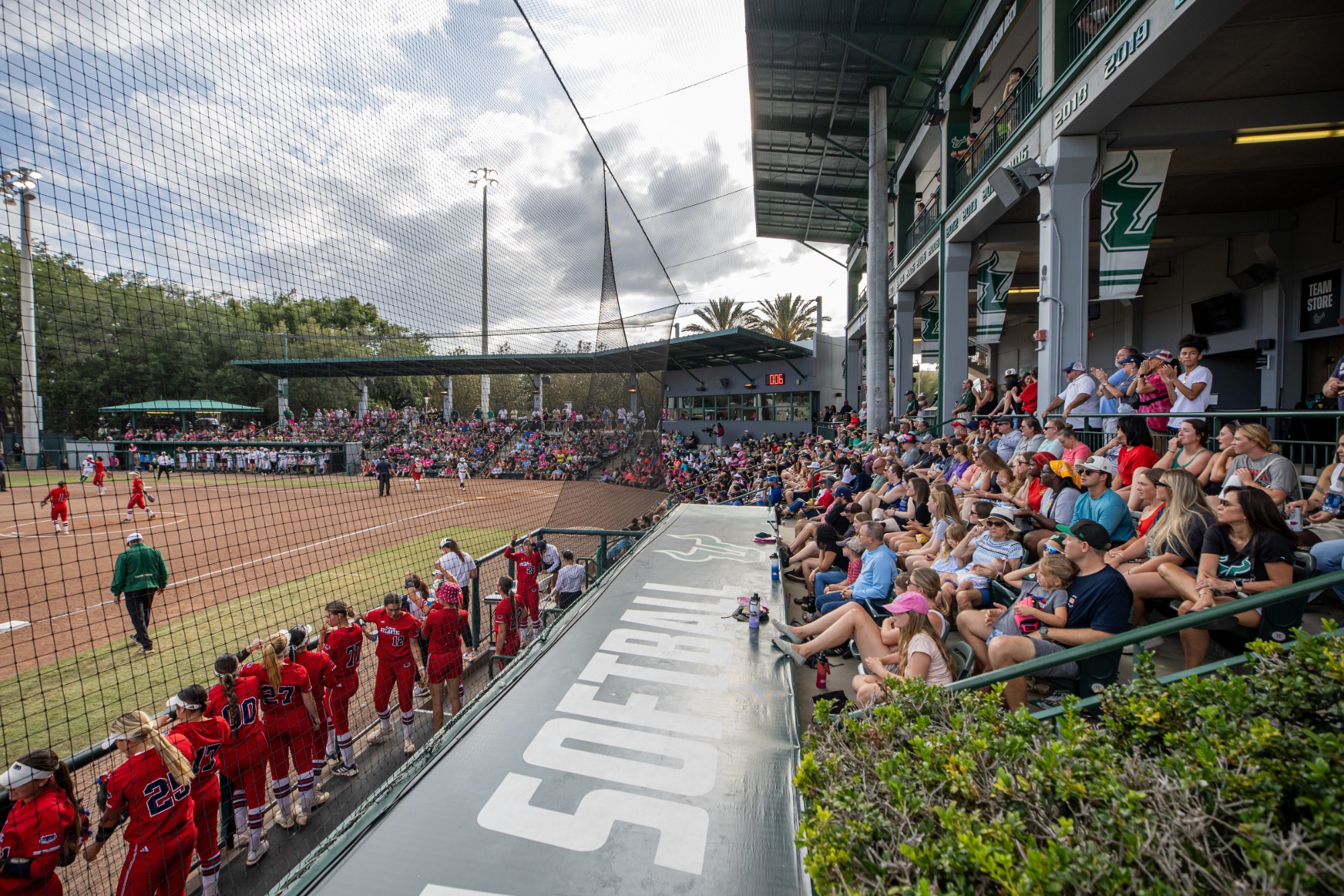 USF Softball