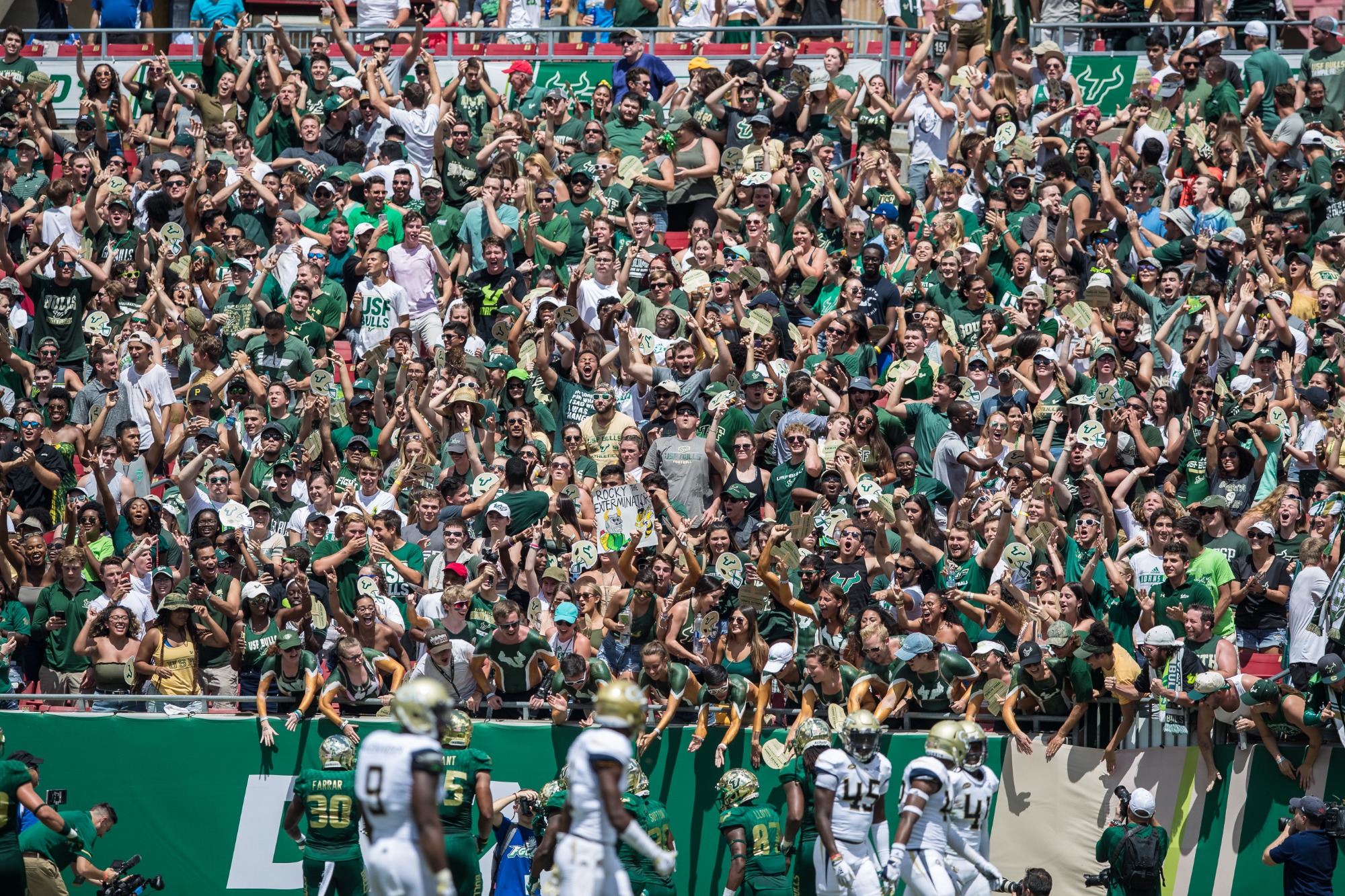 USF Football