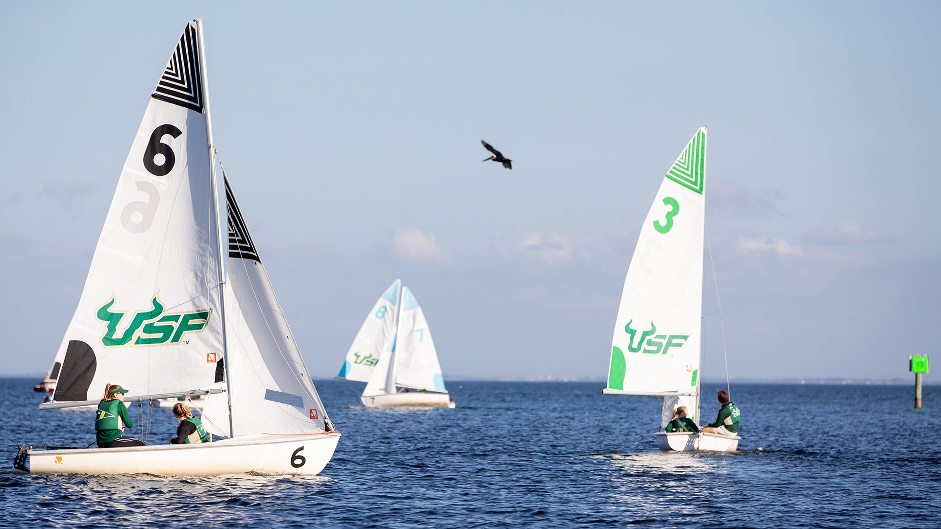 Women's Sailing Practice on February 2, 2023. (Mary Holt/South Florida Athletics)