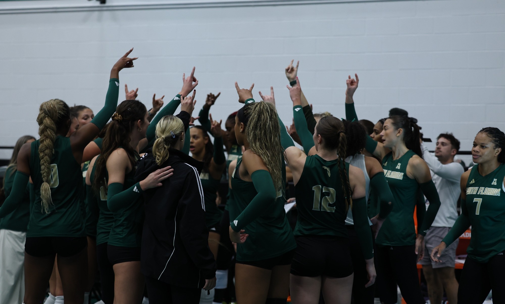 USF Volleyball
