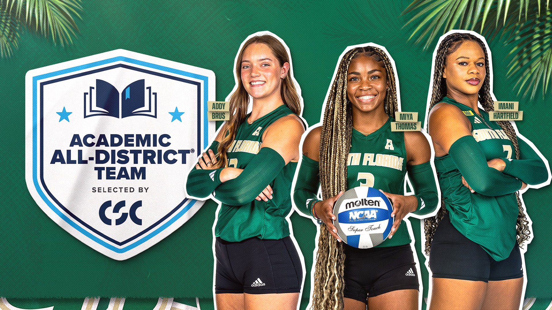 CSC Academic All-District 