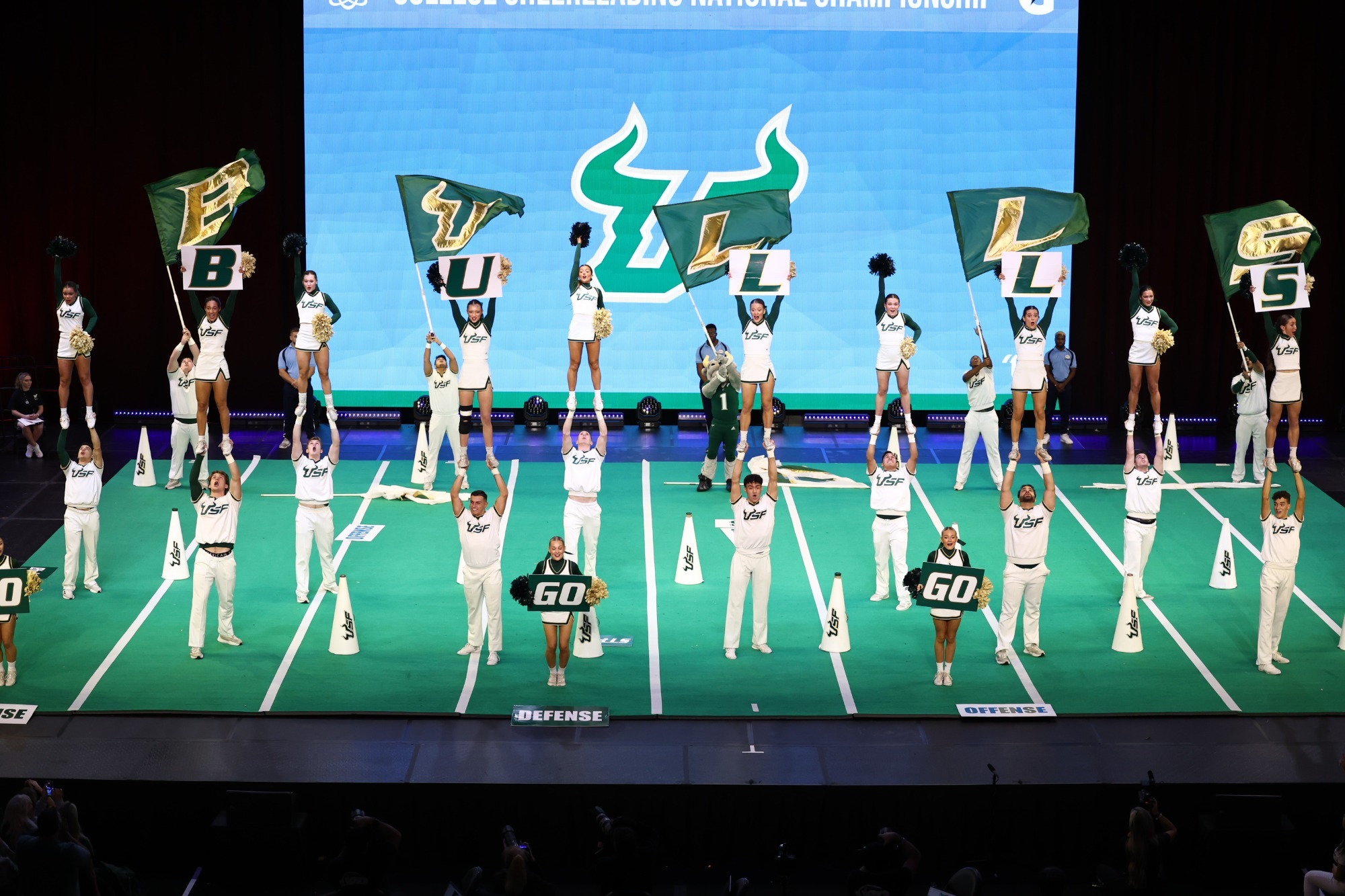 USF Coed Tryouts