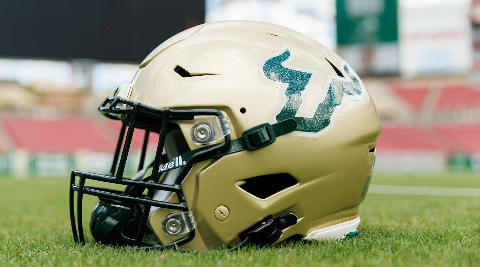 USF Helmet (Gold)