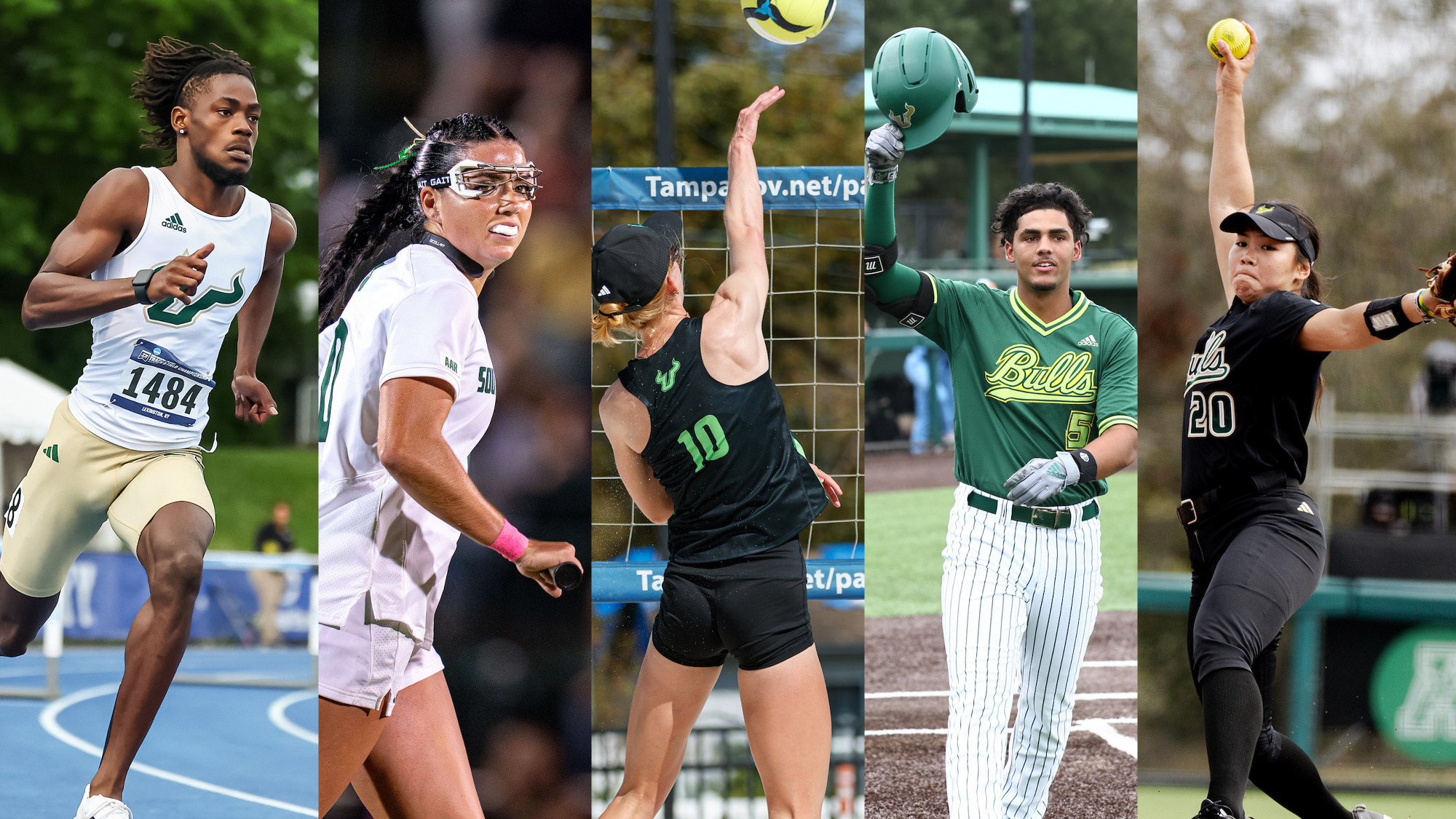 2026 Spring Dandy Dozen