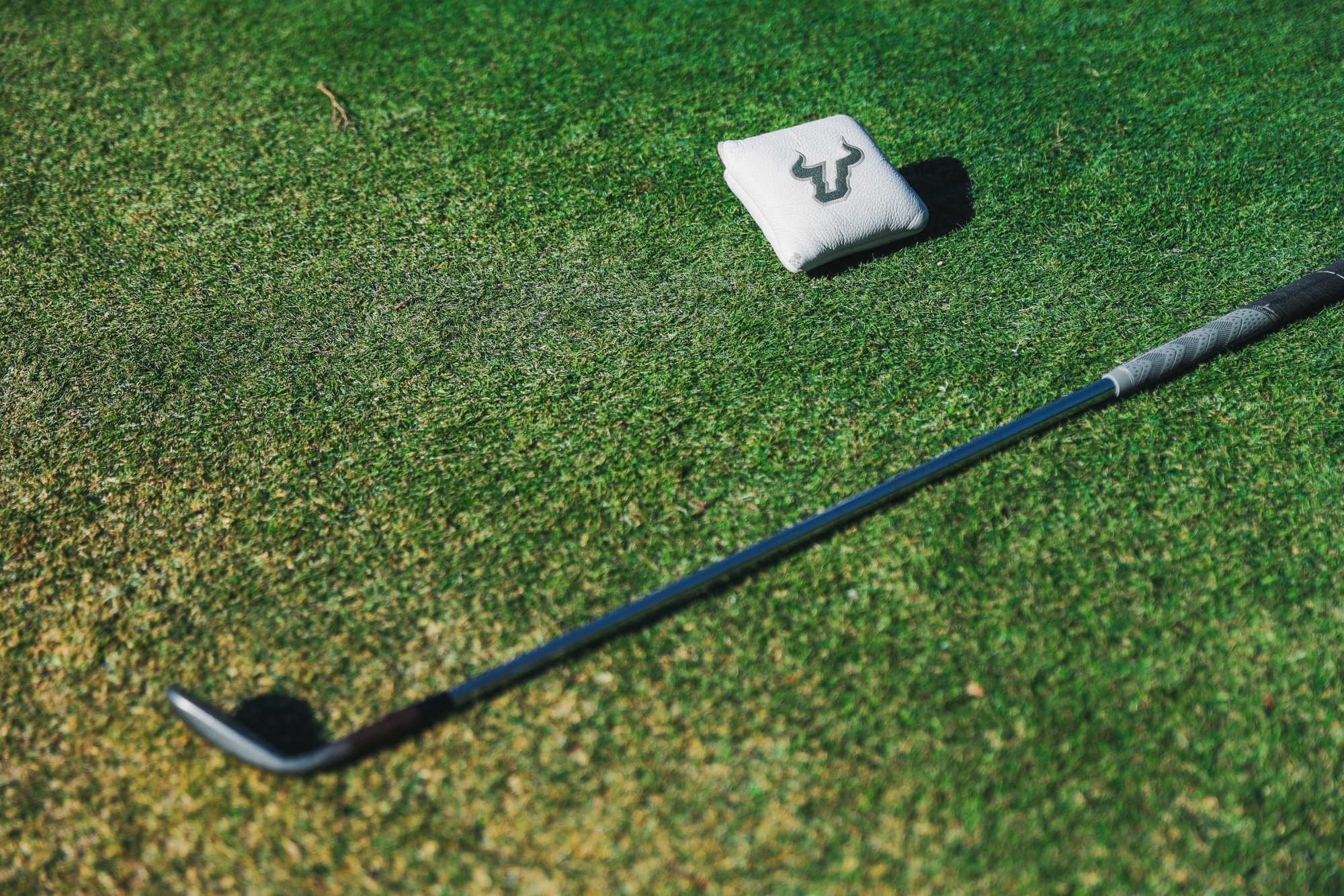 Golf club on green grass