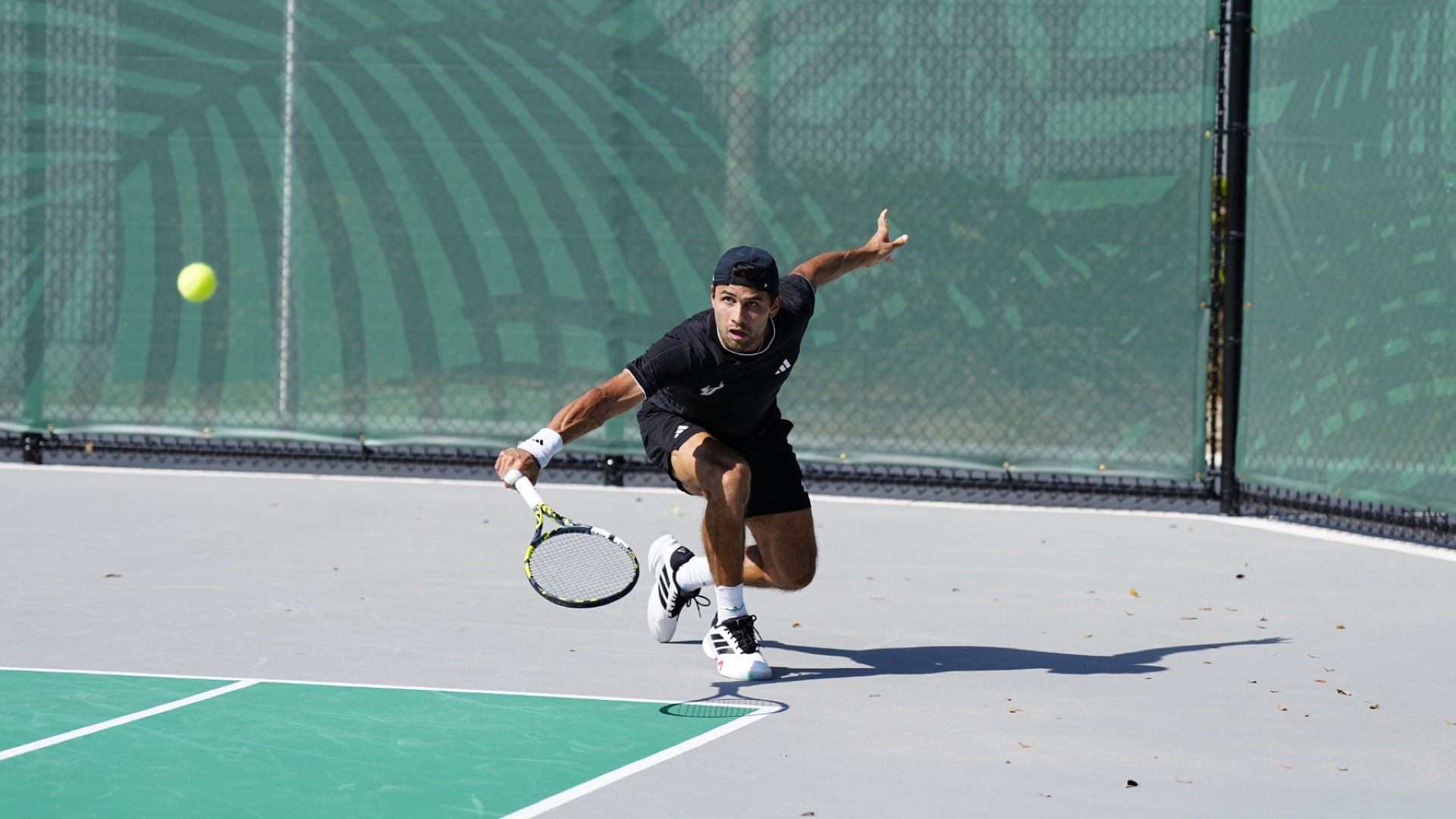 Toto Llanes vs. Stetson