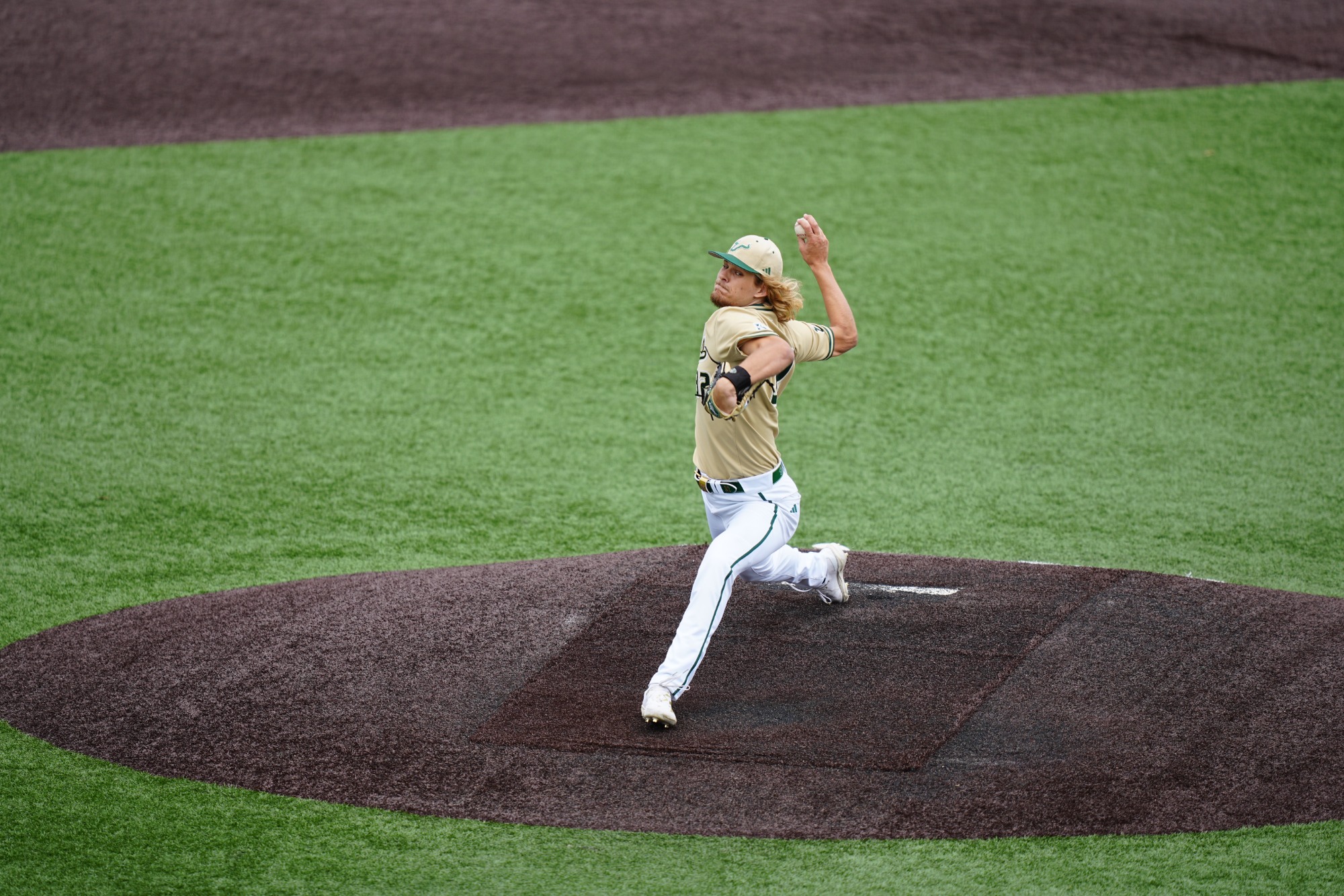 USF Baseball