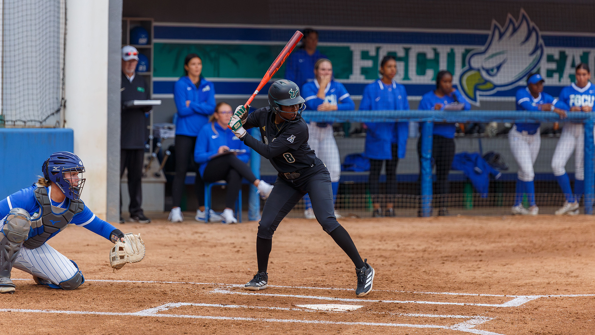 DaNia Brooks ties a USF season high with four RBIs