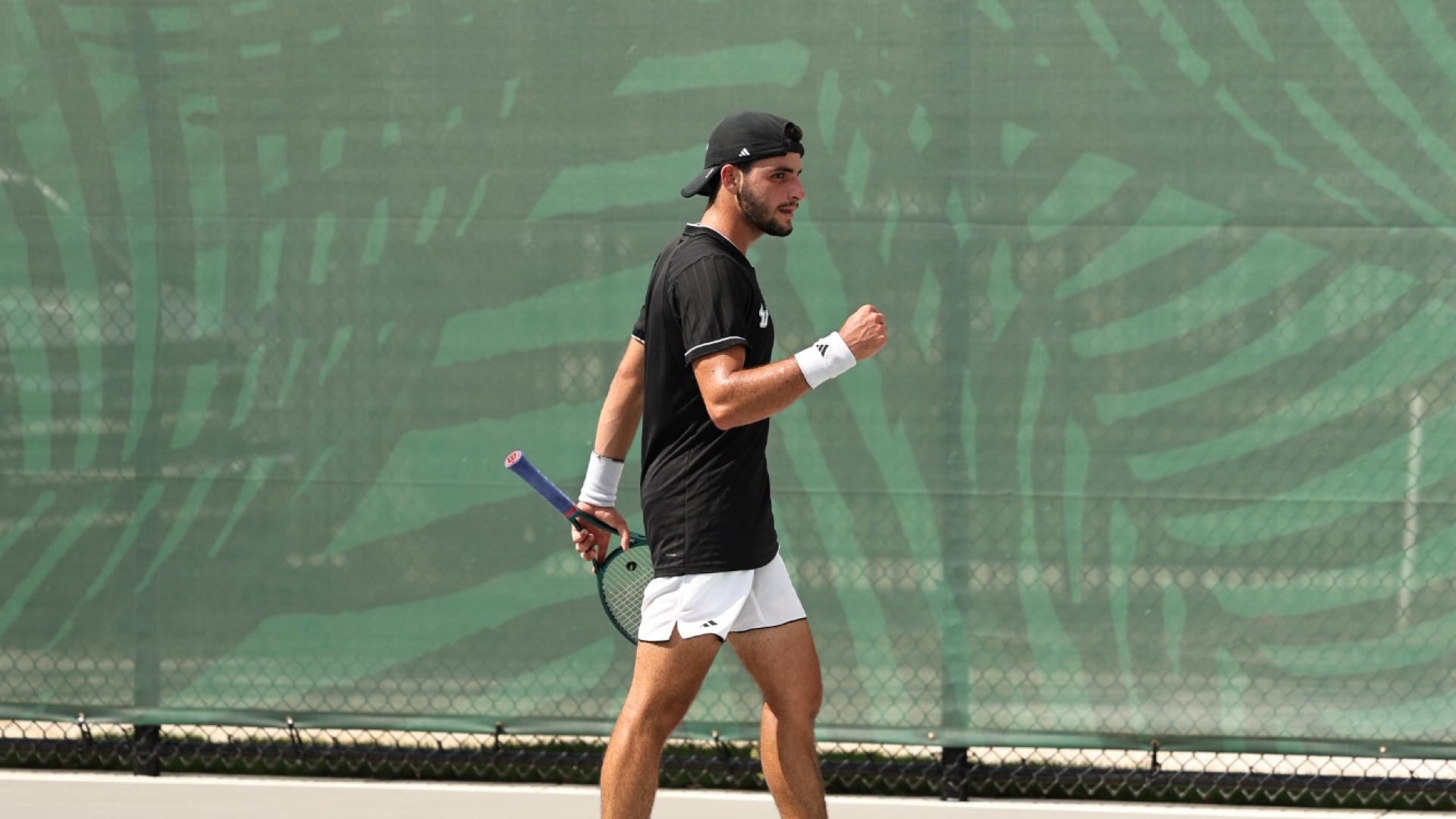 Ettore Danesi vs. Harvard