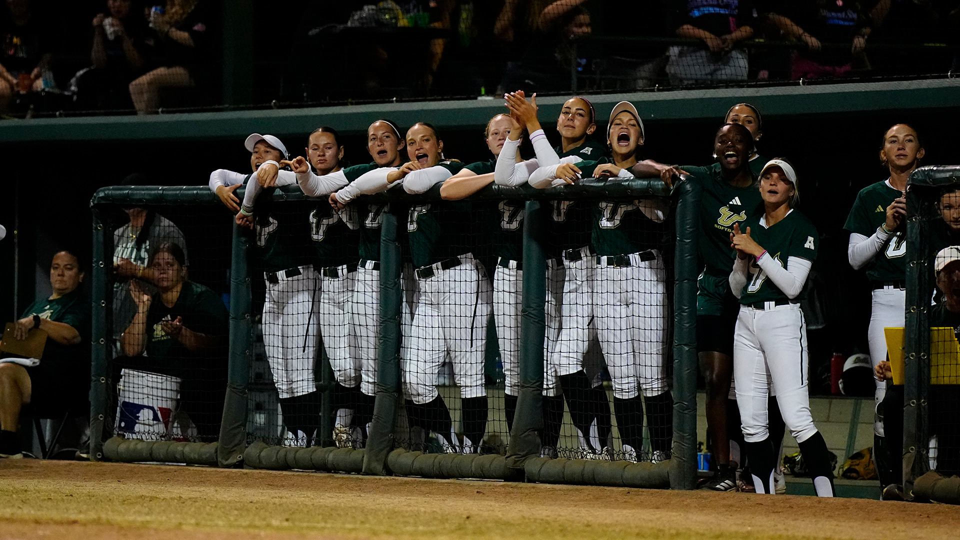 Softball celebration in-game