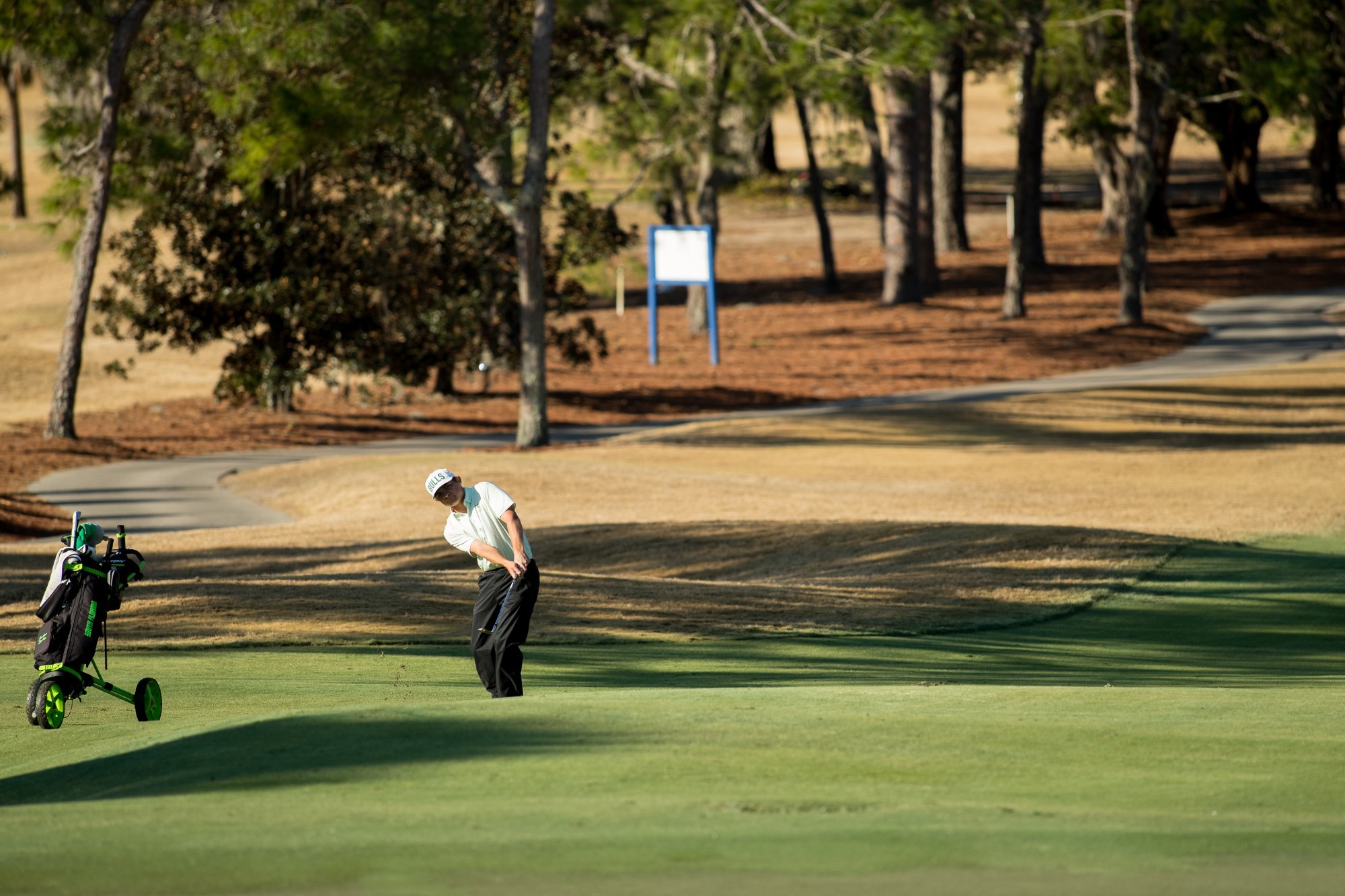 Jackson Spybey chipping