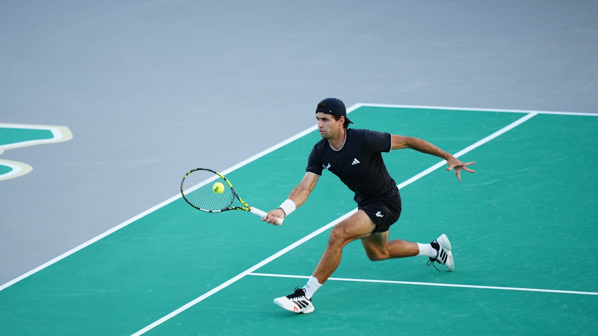 Toto Llanes v. Harvard