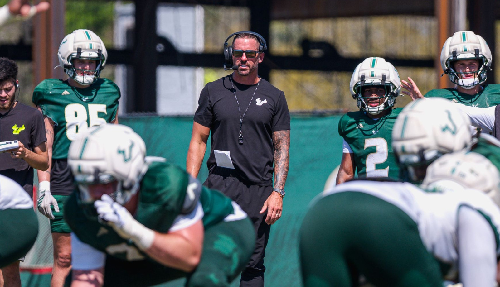 Hartline (A. practice)