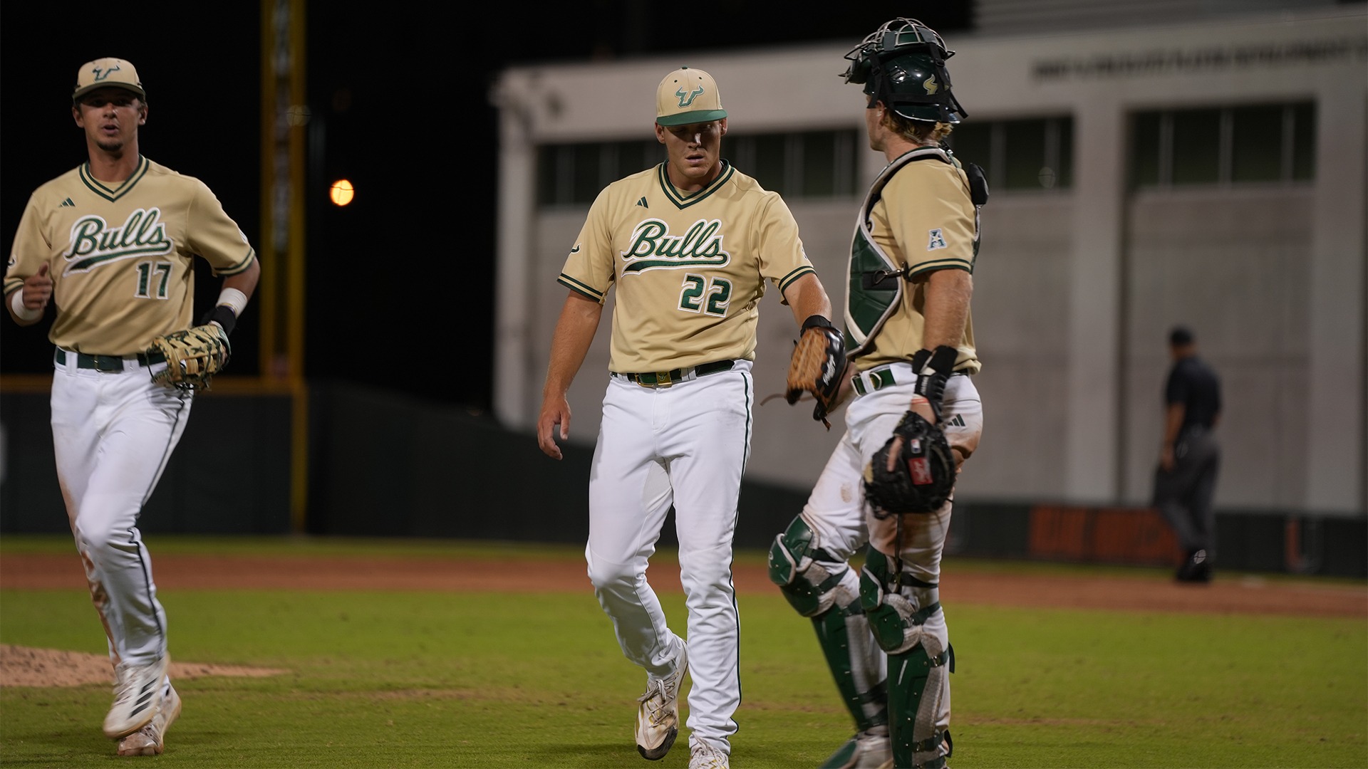Ethan Sutton and Lance Trippel celebrate as the Bulls head in to bat in the top of the ninth.