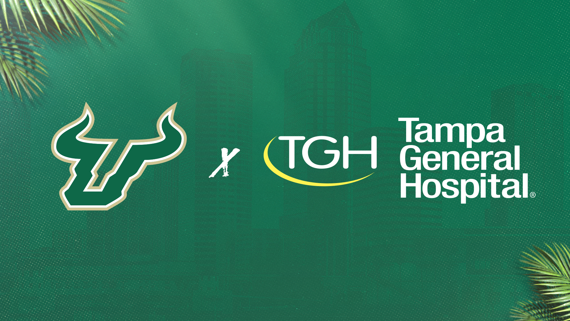 USF & TGH Logos