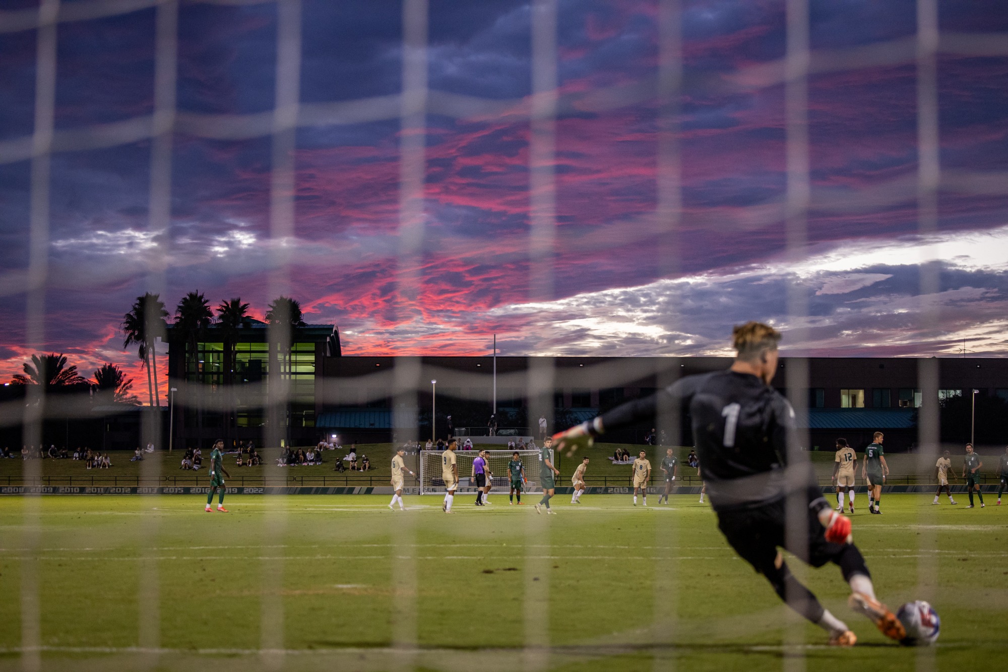 USF Men's Soccer