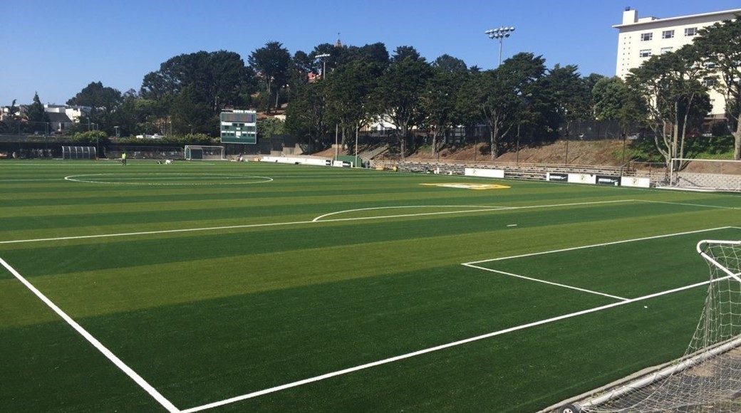 Negoesco Stadium New Turf 2016