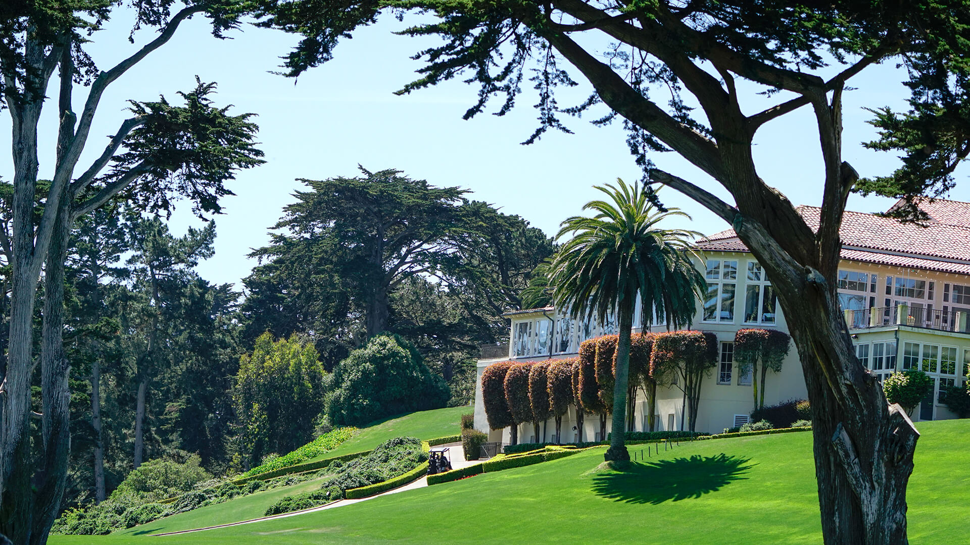 Swanson-Golf-at-Olympic-Club