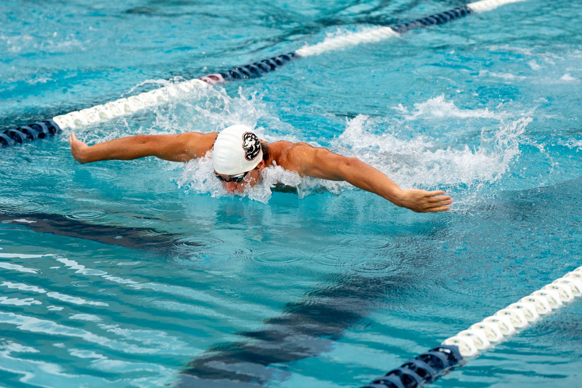 UST Swim