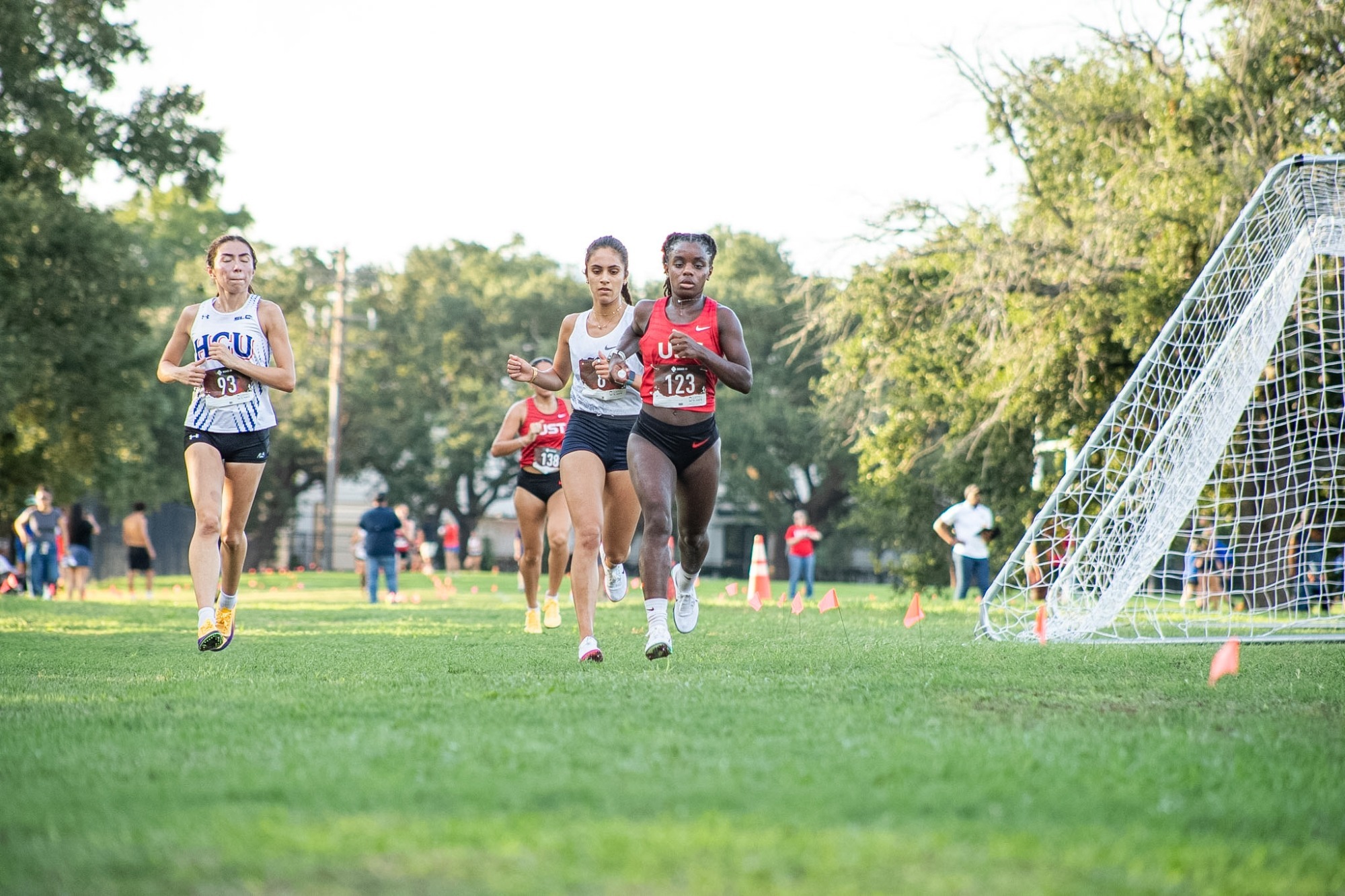 UST XC