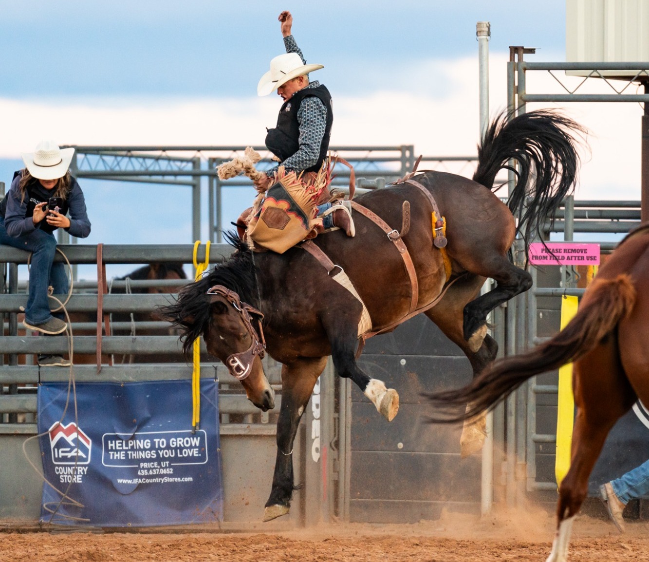 rodeo