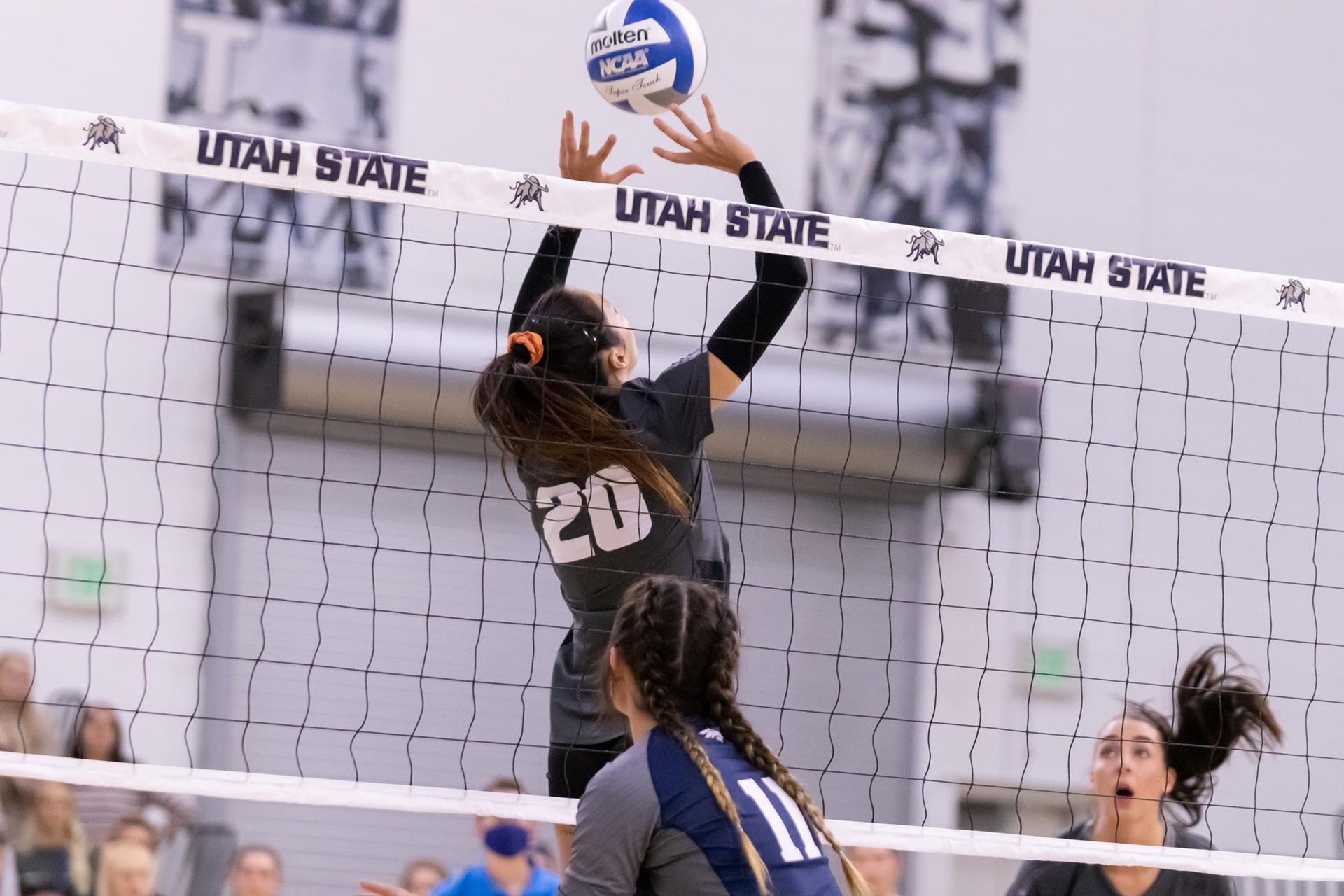 Beatriz Rodrigues Women's Volleyball Utah State University Athletics