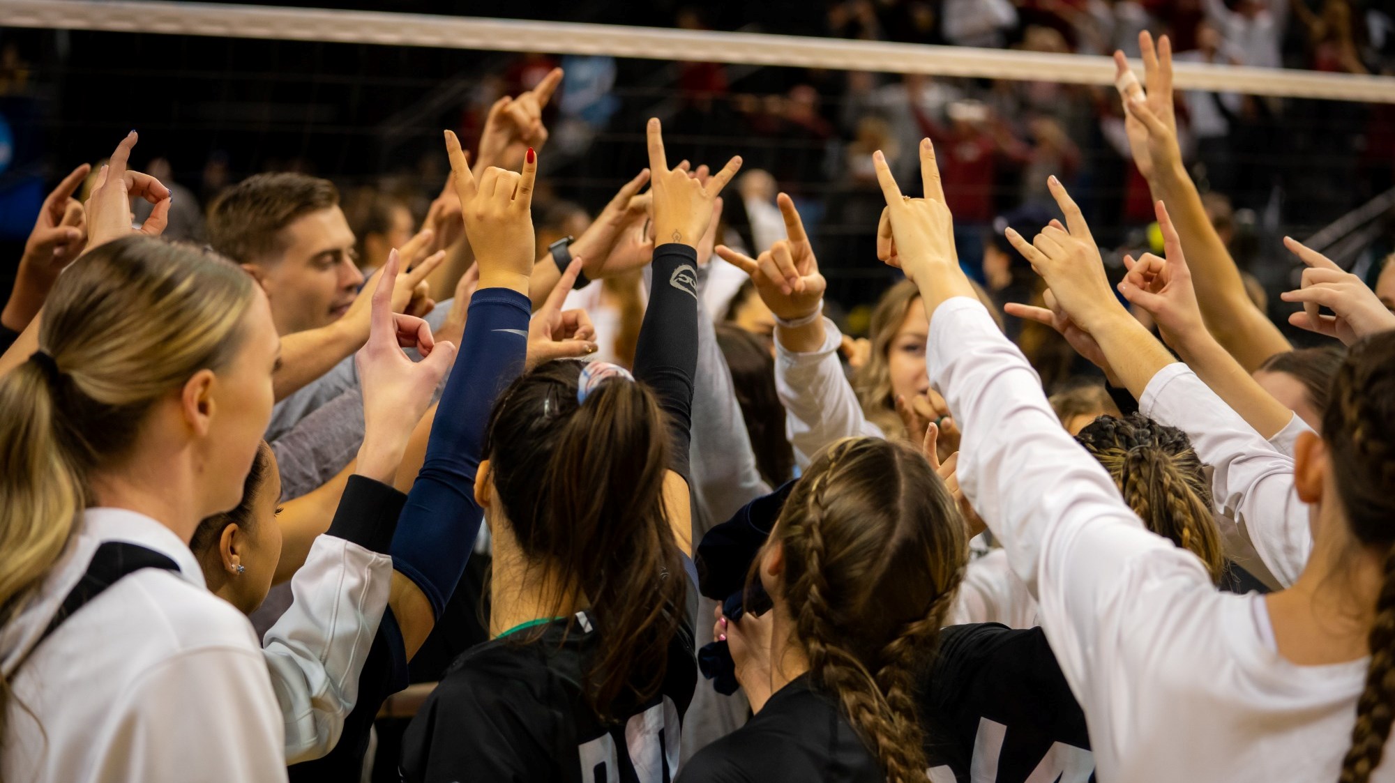 Utah State Volleyball's Historic Season Comes to an End at NCAA
