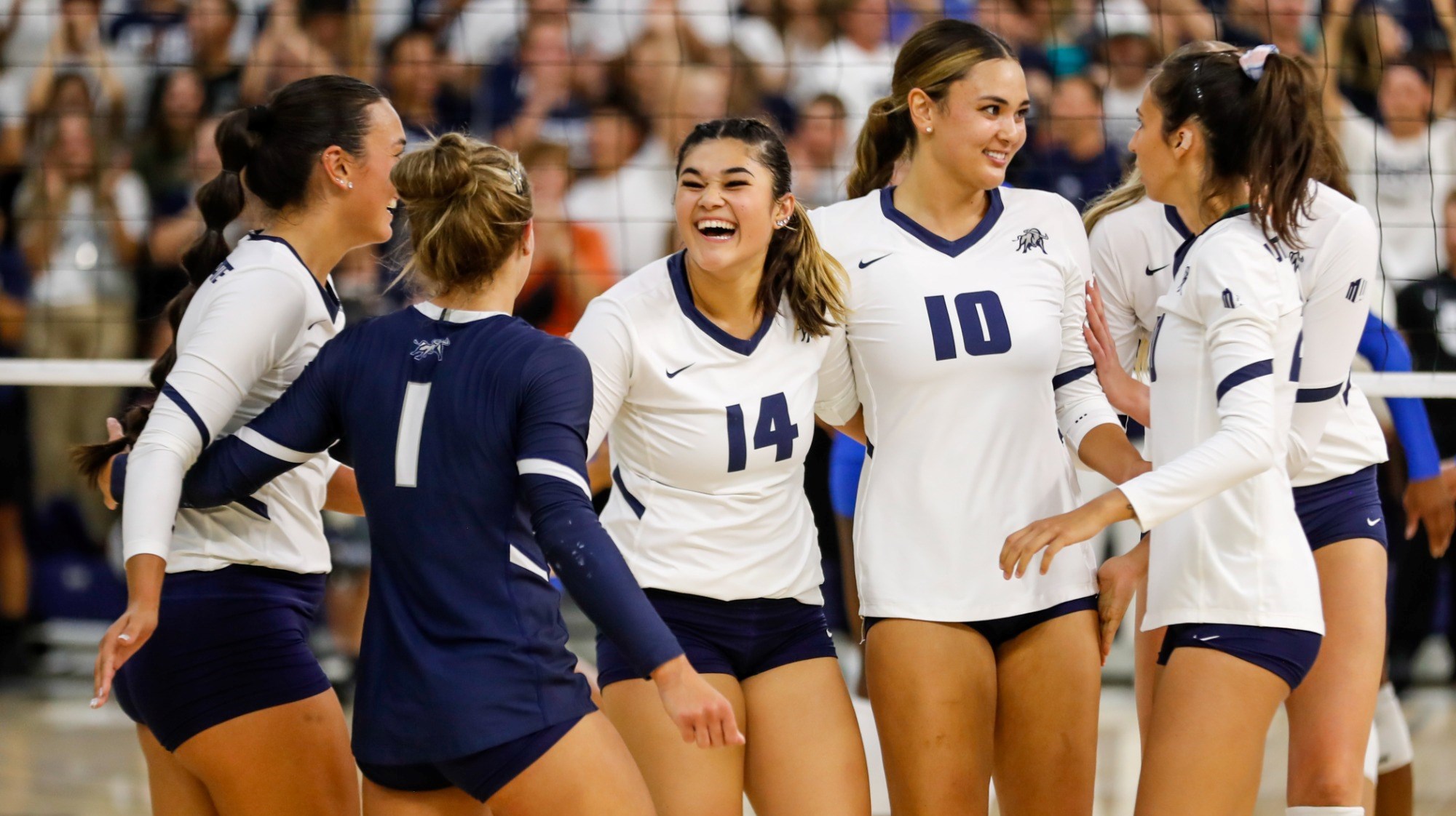 Utah State Volleyball Receives Votes in AVCA Coaches Poll Utah State