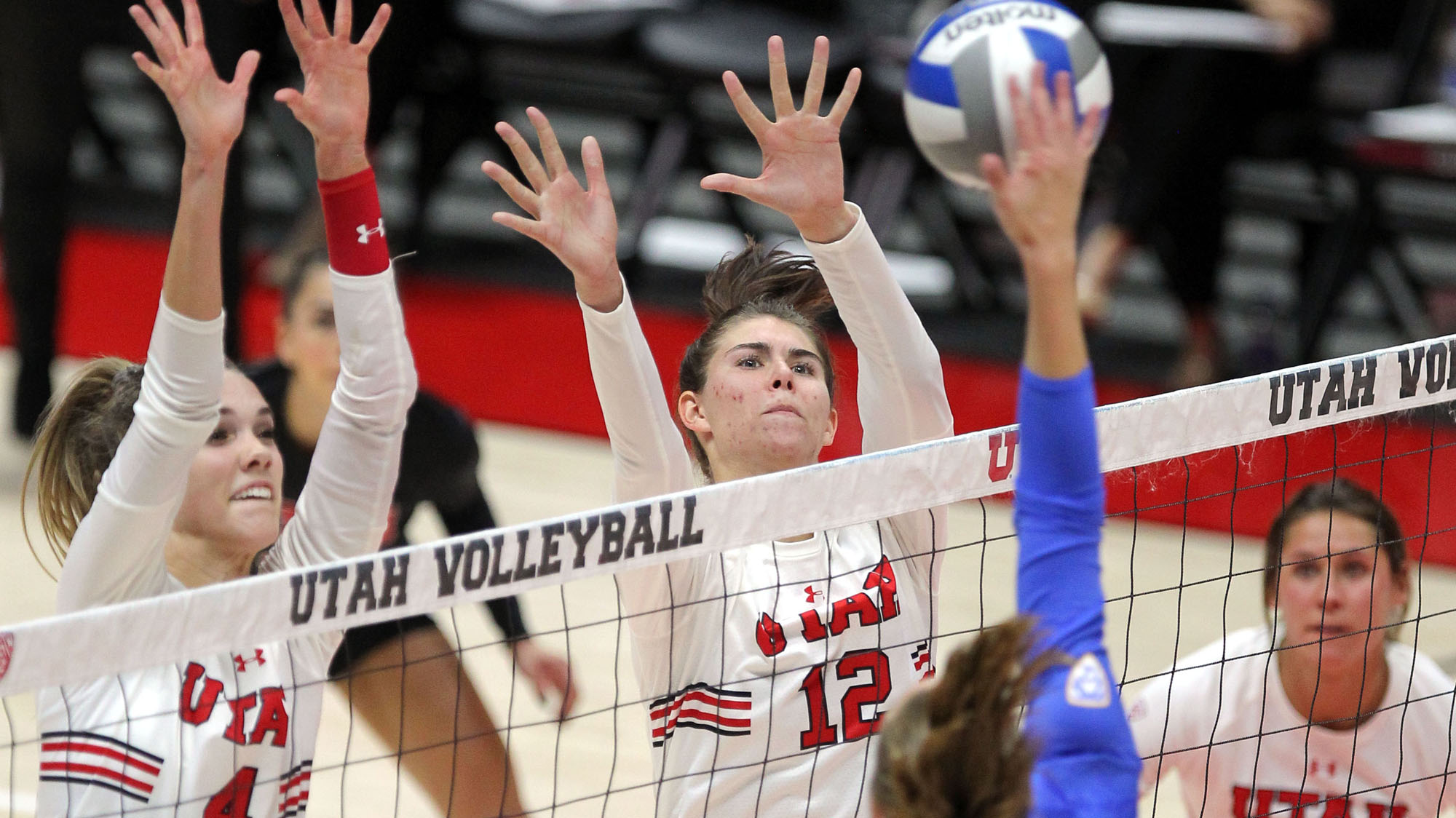 Berkeley Oblad Volleyball University of Utah Athletics