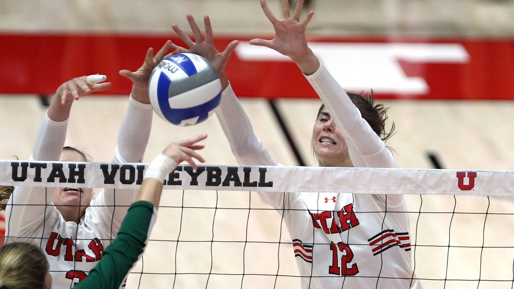 Berkeley Oblad Volleyball University of Utah Athletics