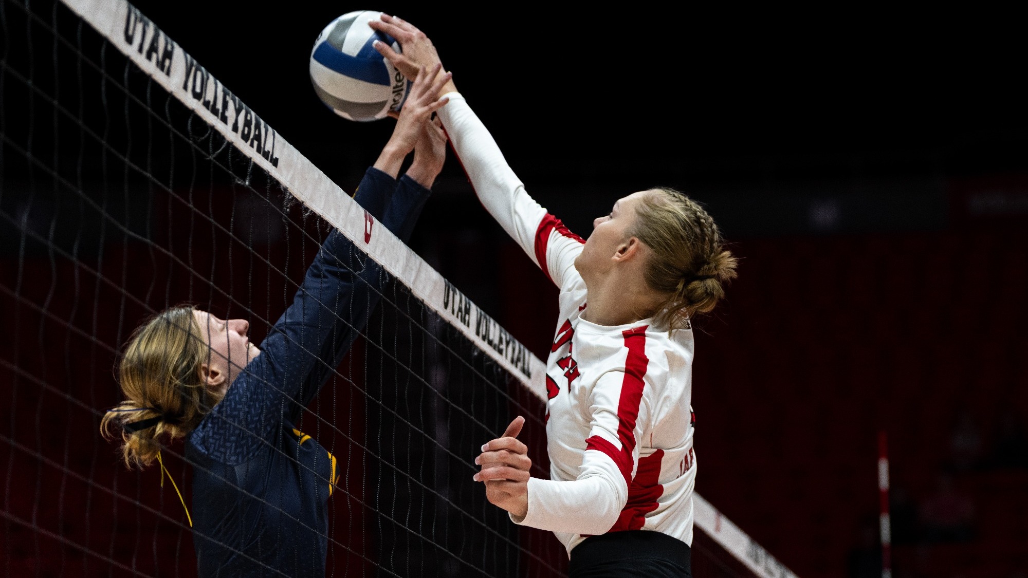 Lauren Jardine Volleyball University of Utah Athletics