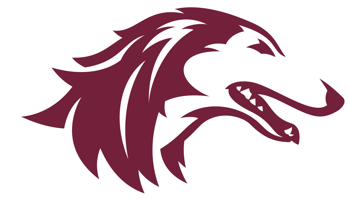 Opponent Logo