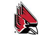 Opponent Logo