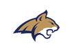 Opponent Logo
