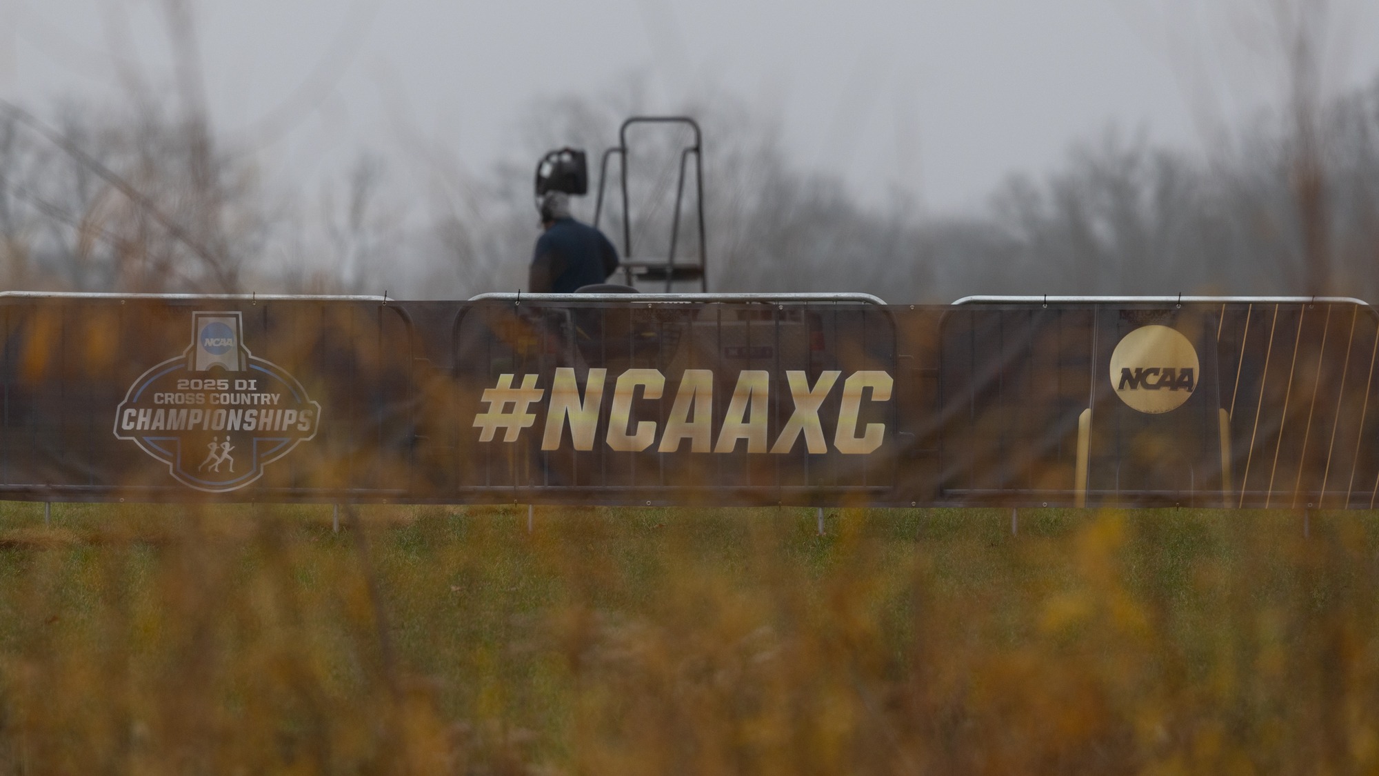 NCAA XC Championships