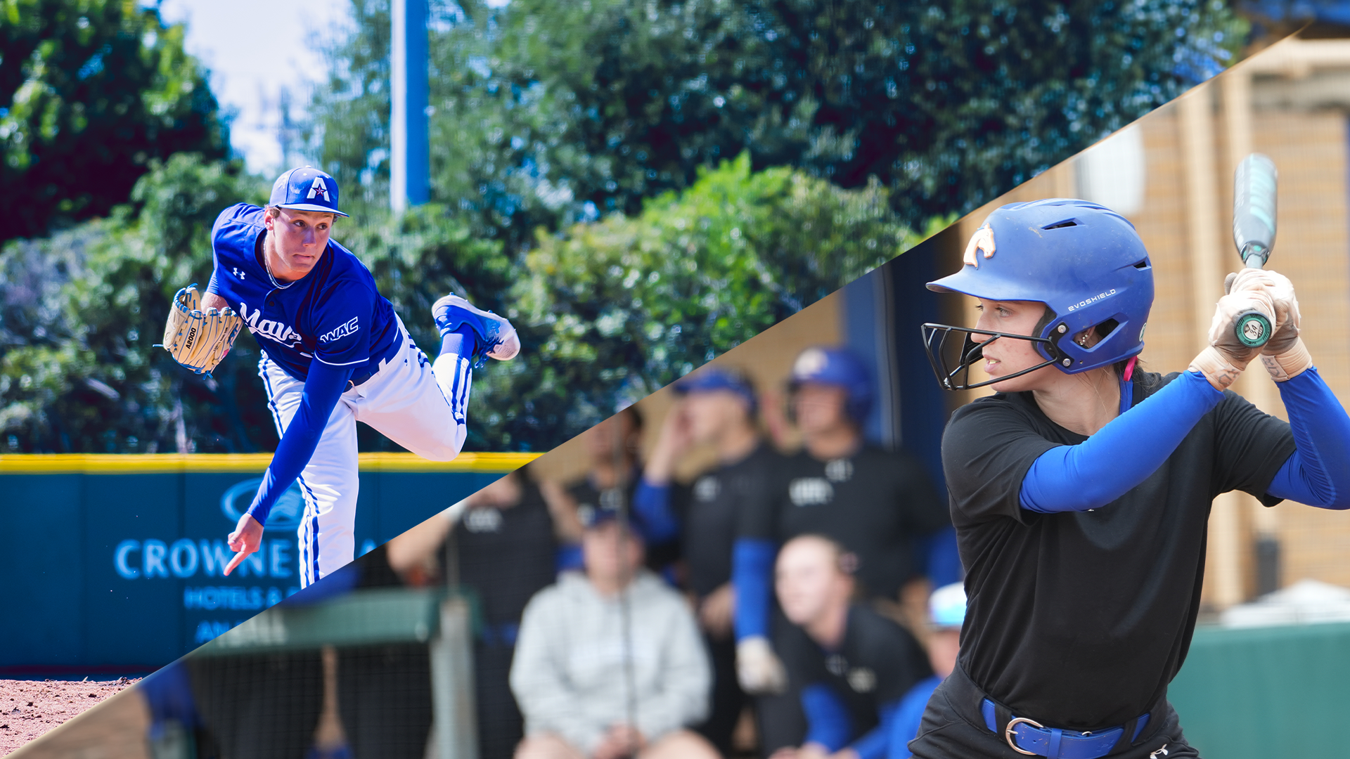 baseball softball season tickets
