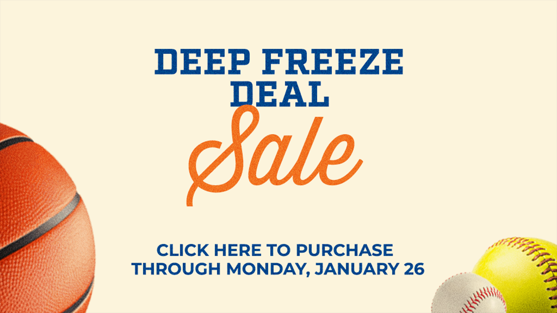 Deep Freeze Flash Sale - web