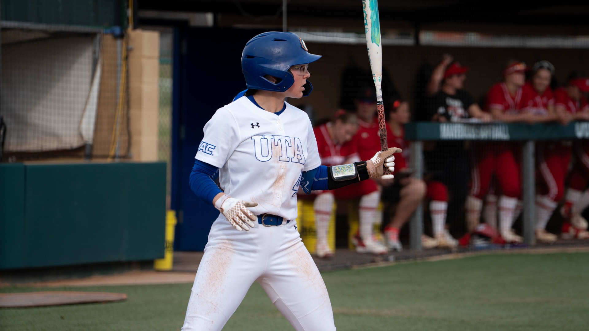 peyton holland batting