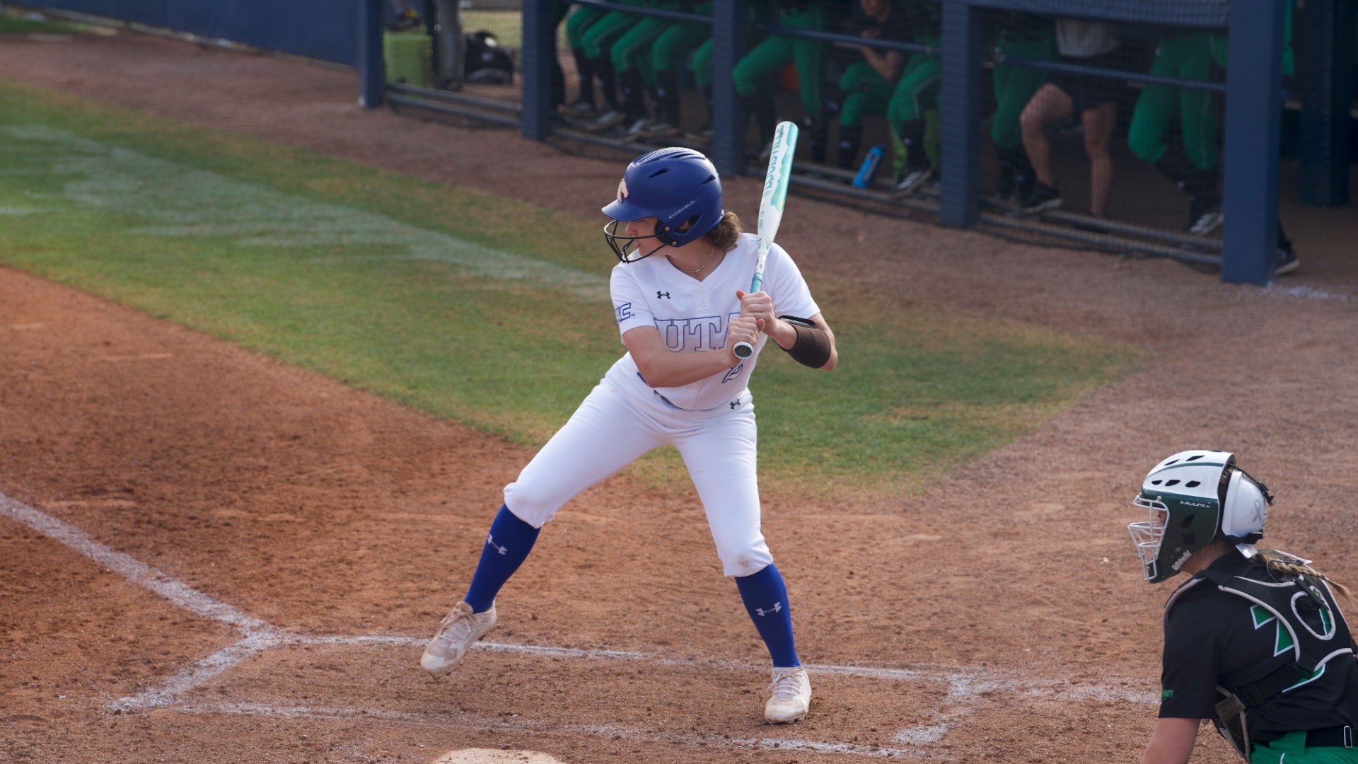 cameron cooper batting