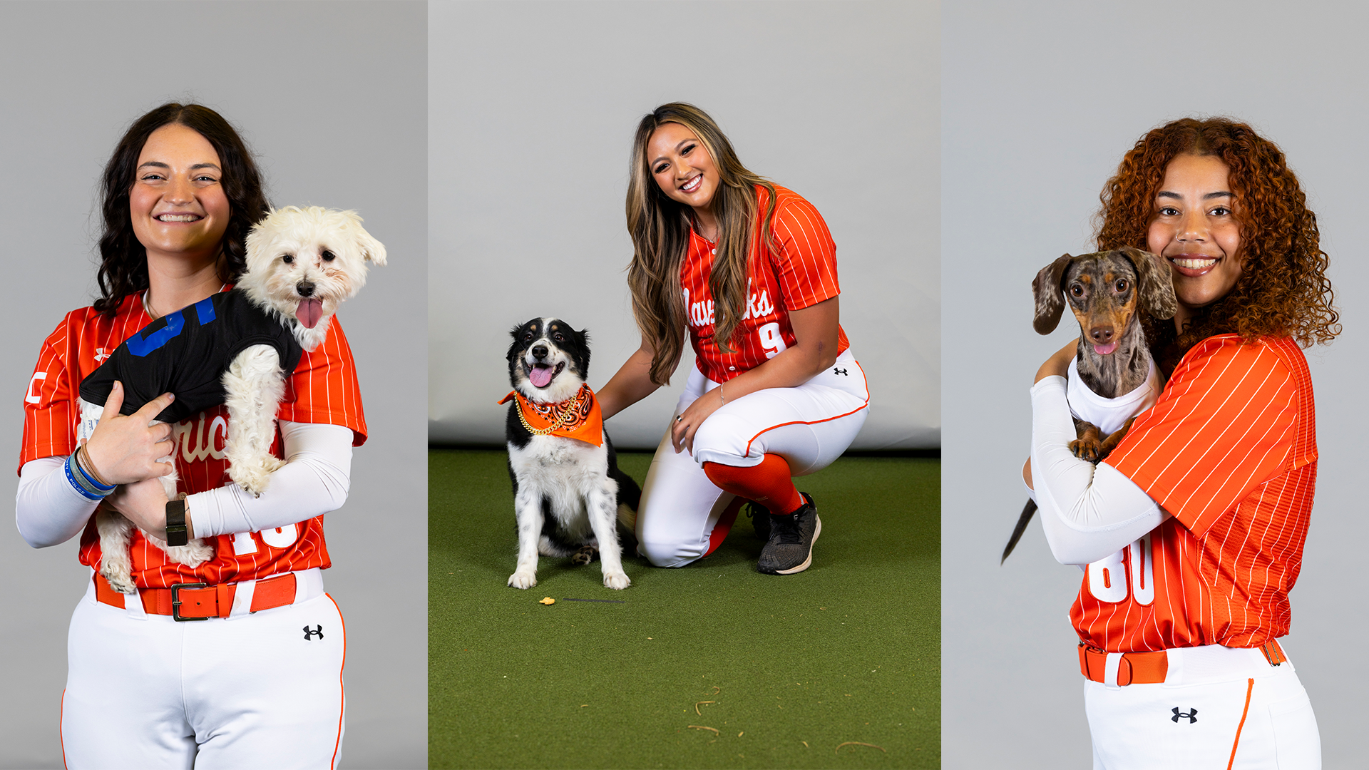 bark in the park promo web