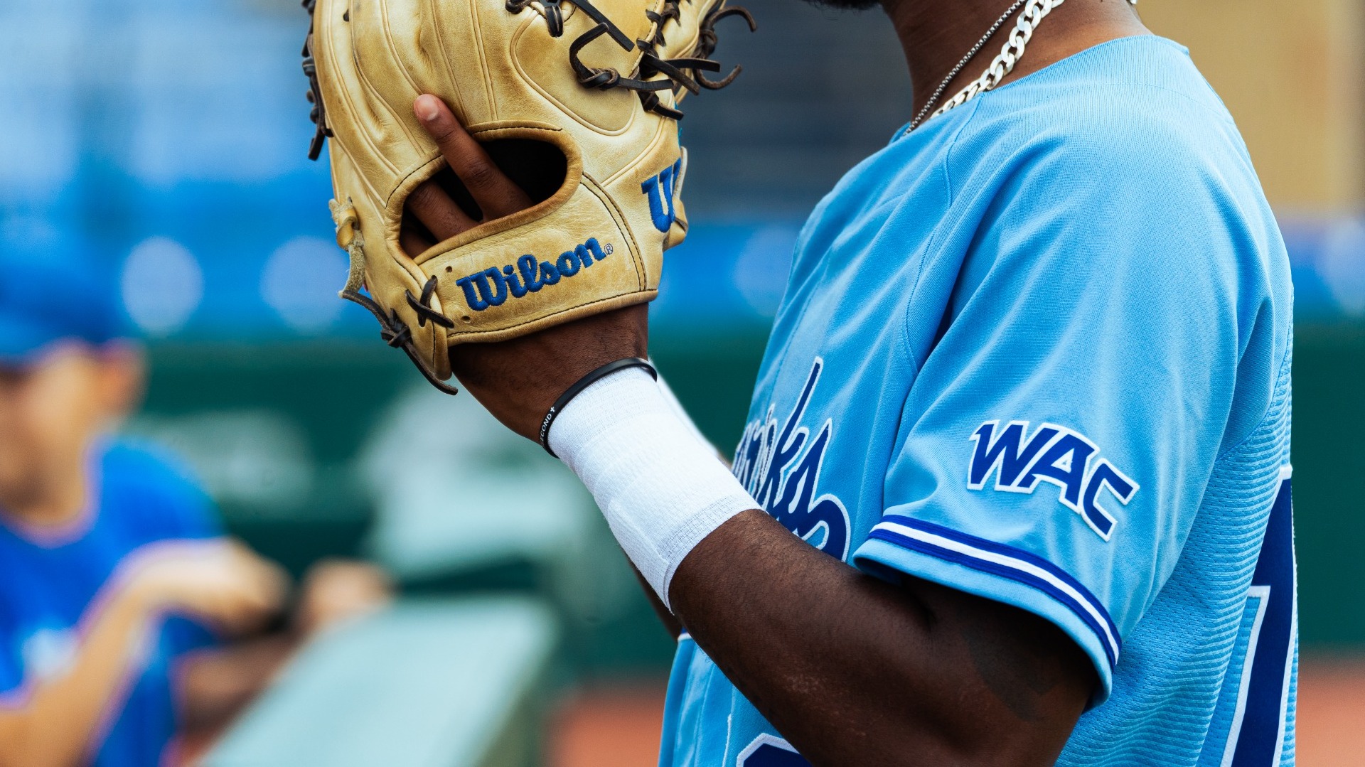 Generic picture of glove