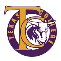 Opponent Logo