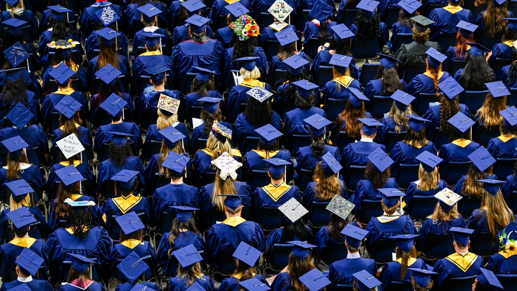 Group shot of graduates at commencement from behind the seated group